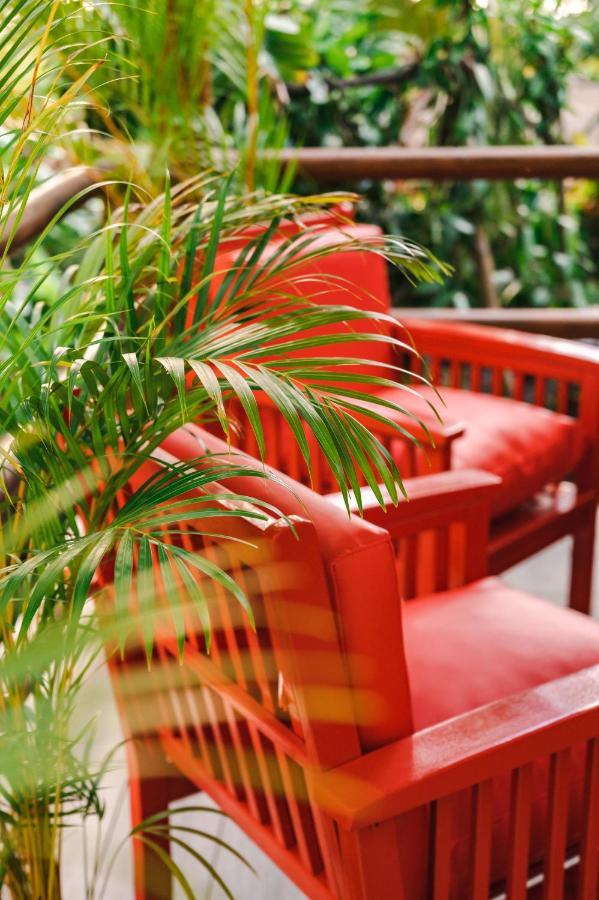 Domaine Du Lion Aparthotel Deshaies