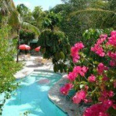 Hotel Turtle Cove Inn 2*