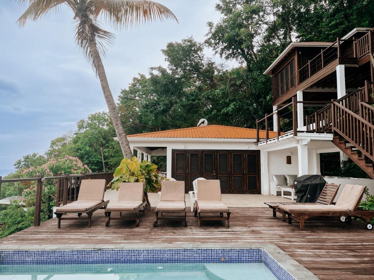 Moringa Master Lodge