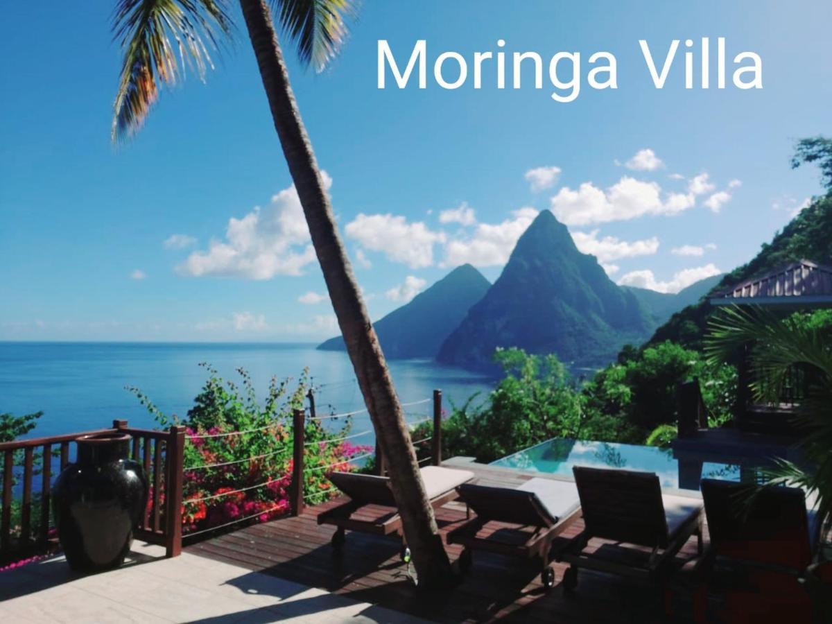 Lodge Moringa Master Soufriere