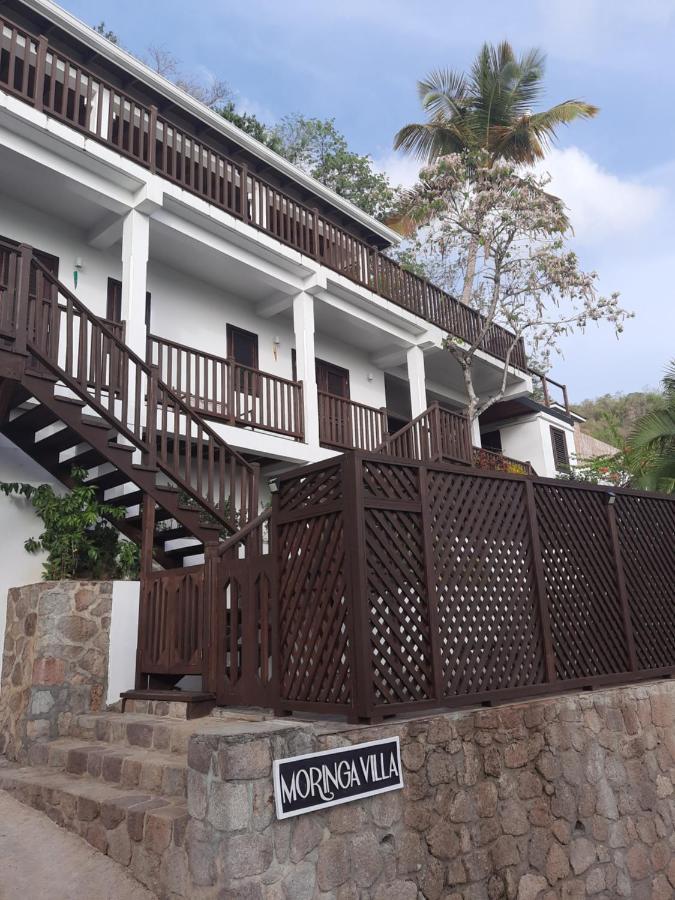 Moringa Master Lodge *