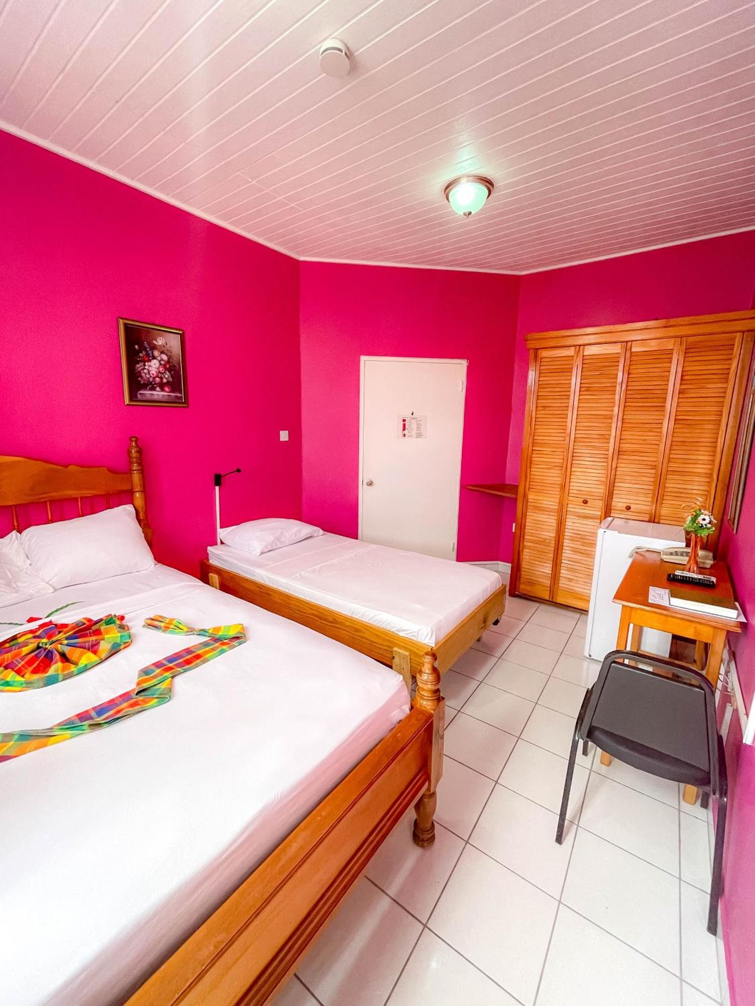 La Flamboyant Casa de hóspedes Roseau