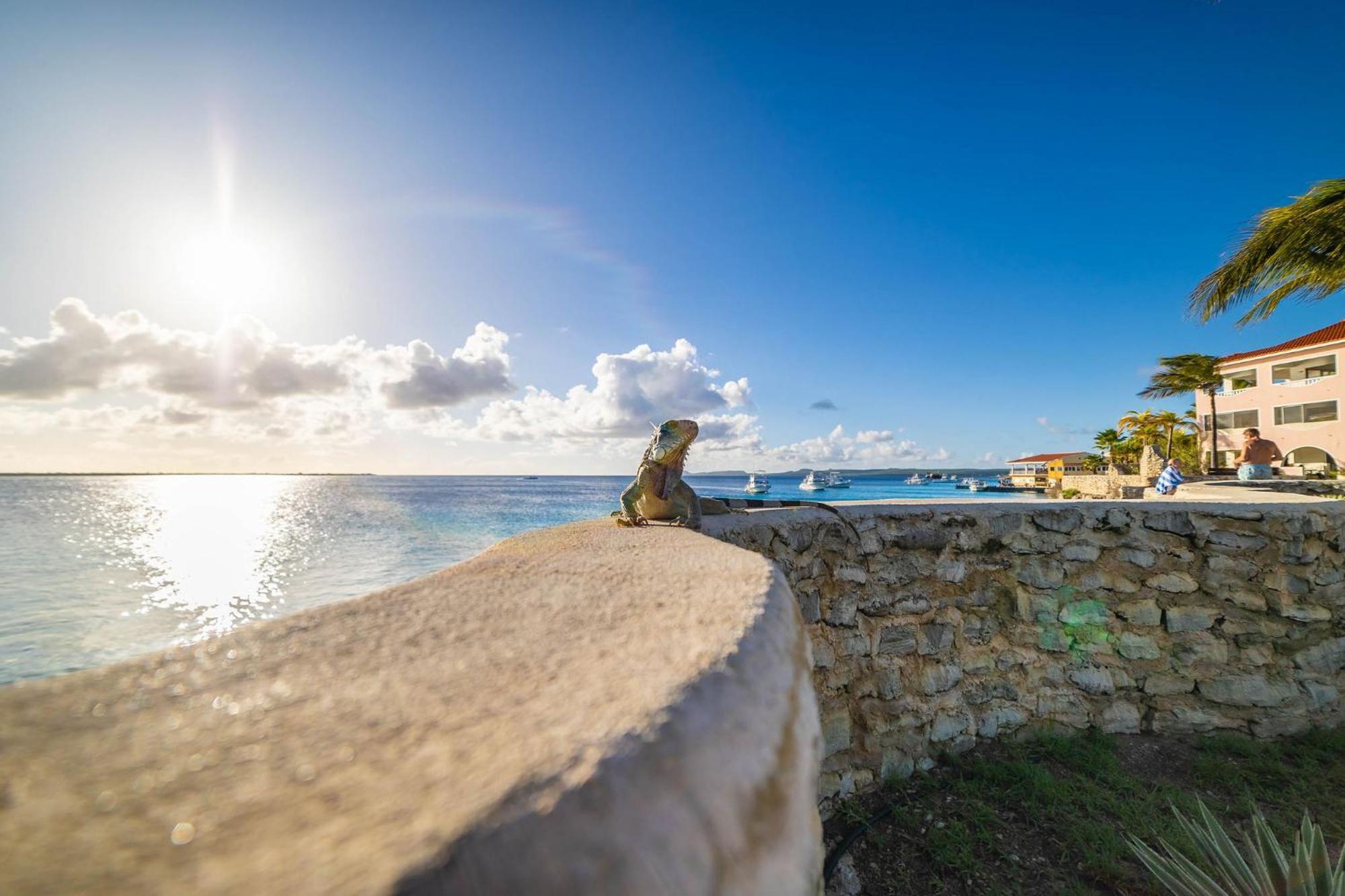 Dollar Bonaire Aparthotel