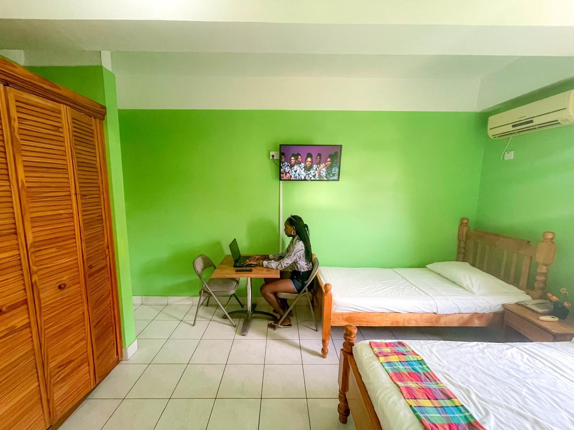 La Flamboyant Casa de hóspedes Roseau