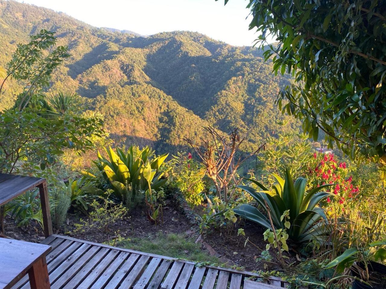 Tranquility Estate Acomodação com café da manhã 