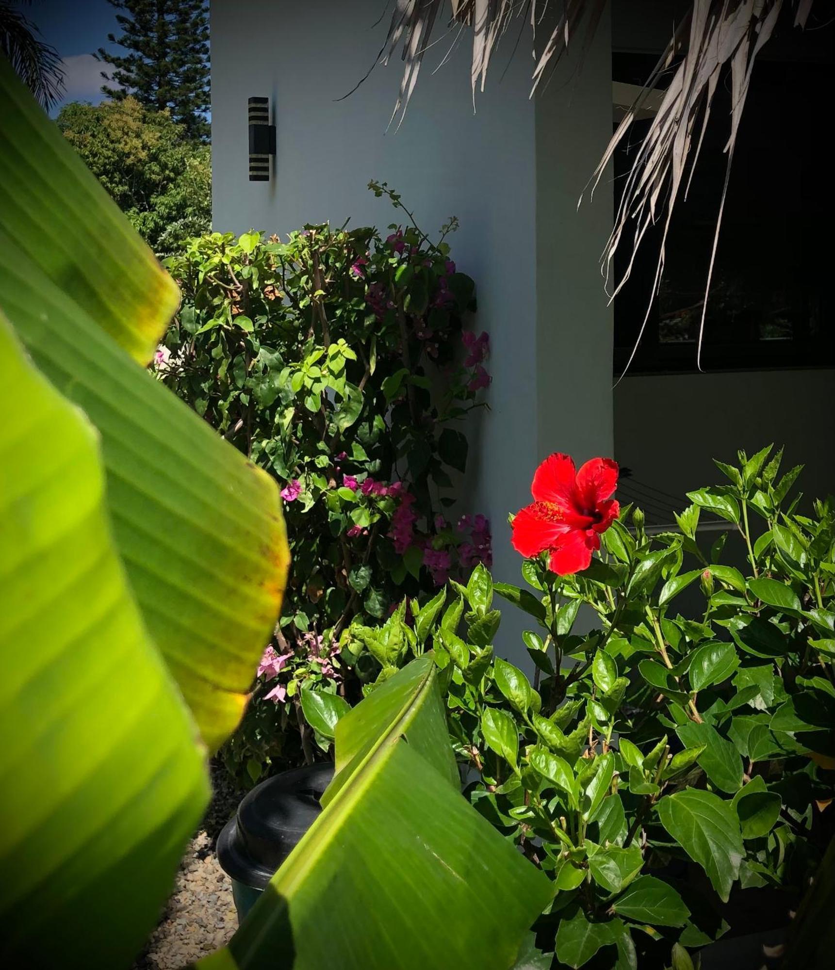 Sfeervolle In Encuentro Apartment Cabarete
