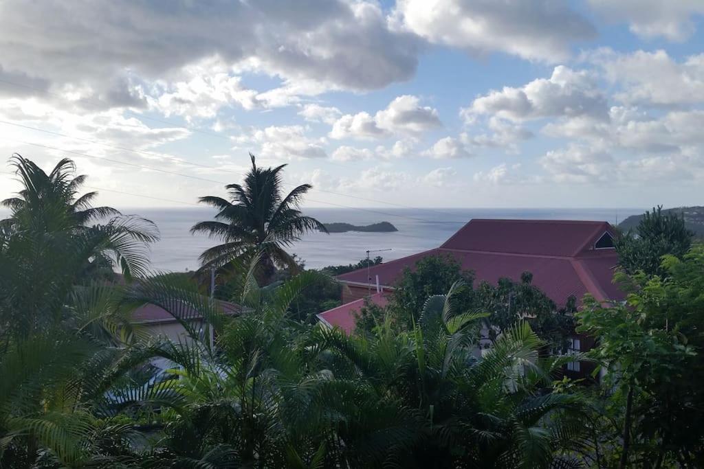 Pirates Des Caraibes *