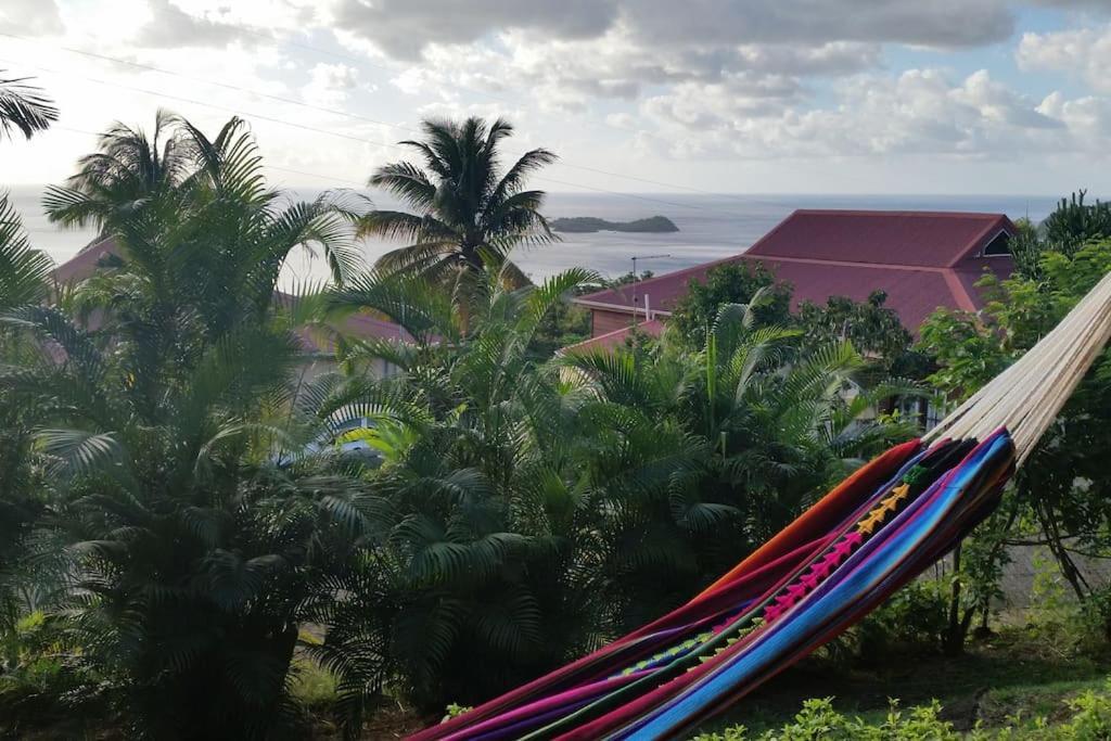 Pirates Des Caraibes