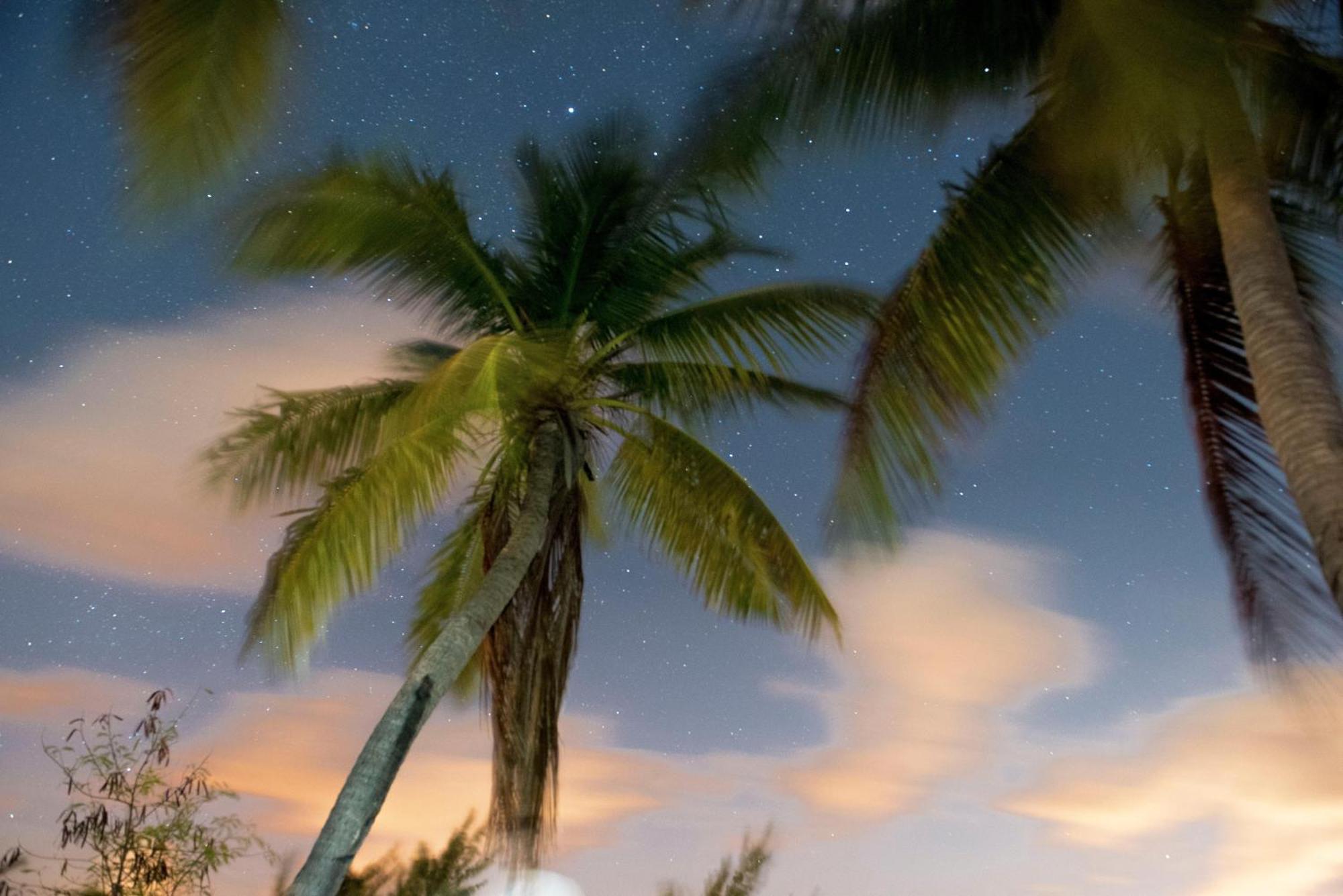 Callie Kai At Kaibo Yacht Club *