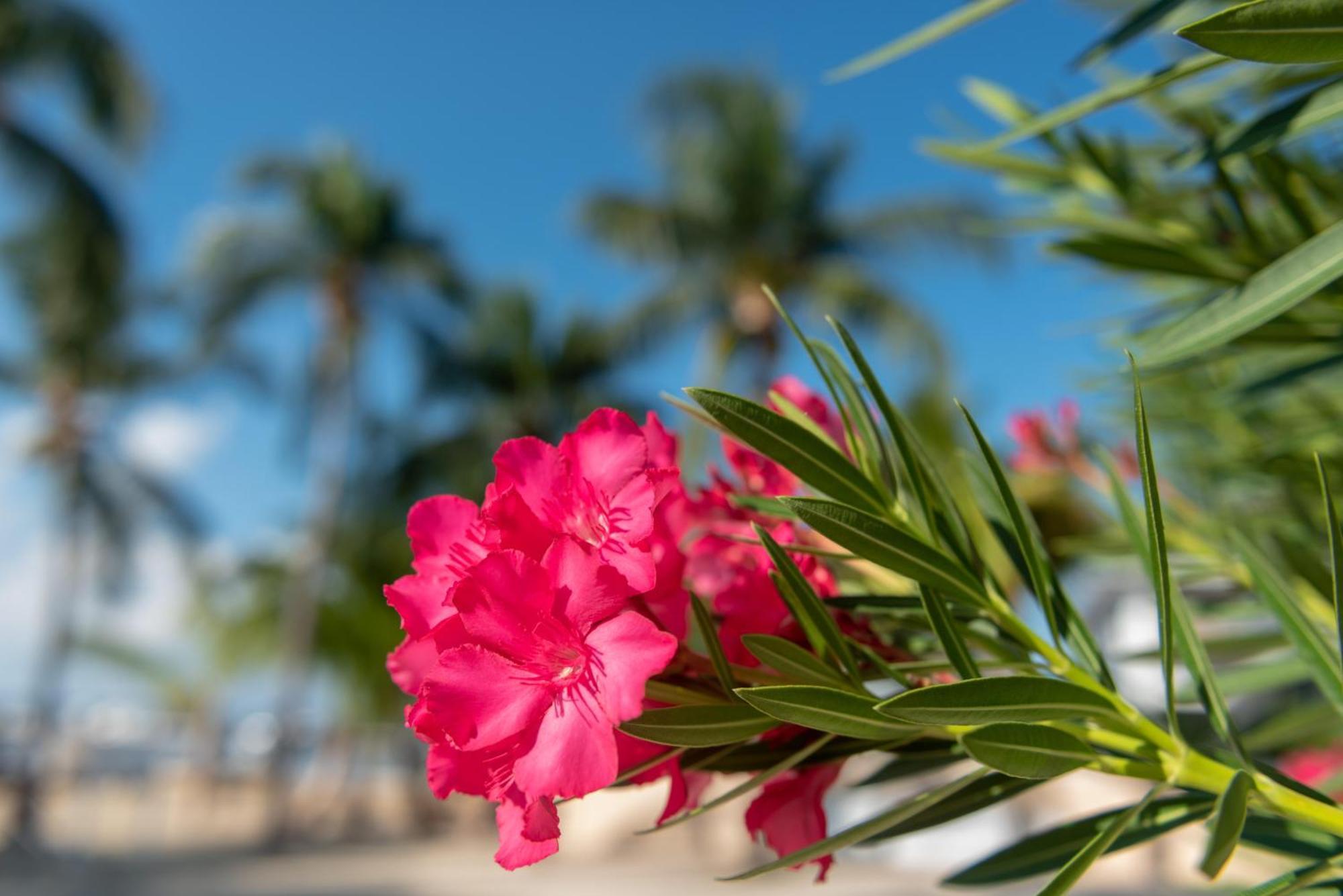 Callie Kai At Kaibo Yacht Club Holiday home