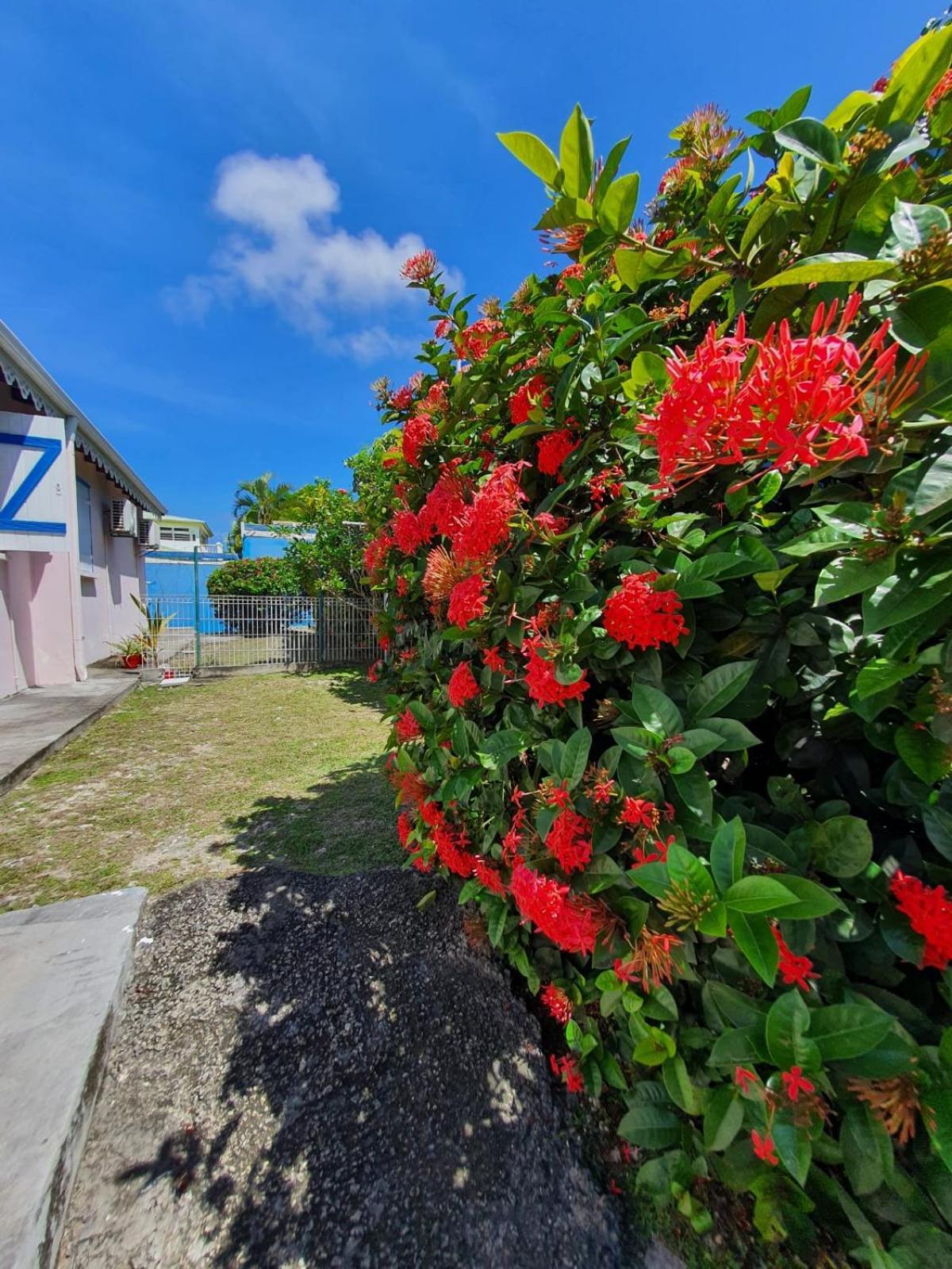 Casa de hóspedes Oceane *