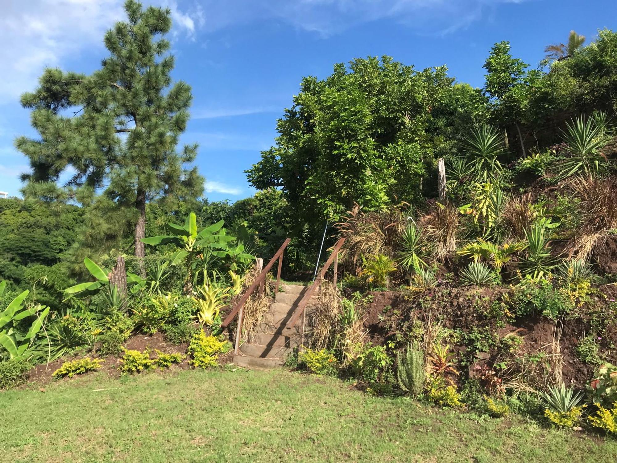 Acomodação com café da manhã  Tranquility Estate