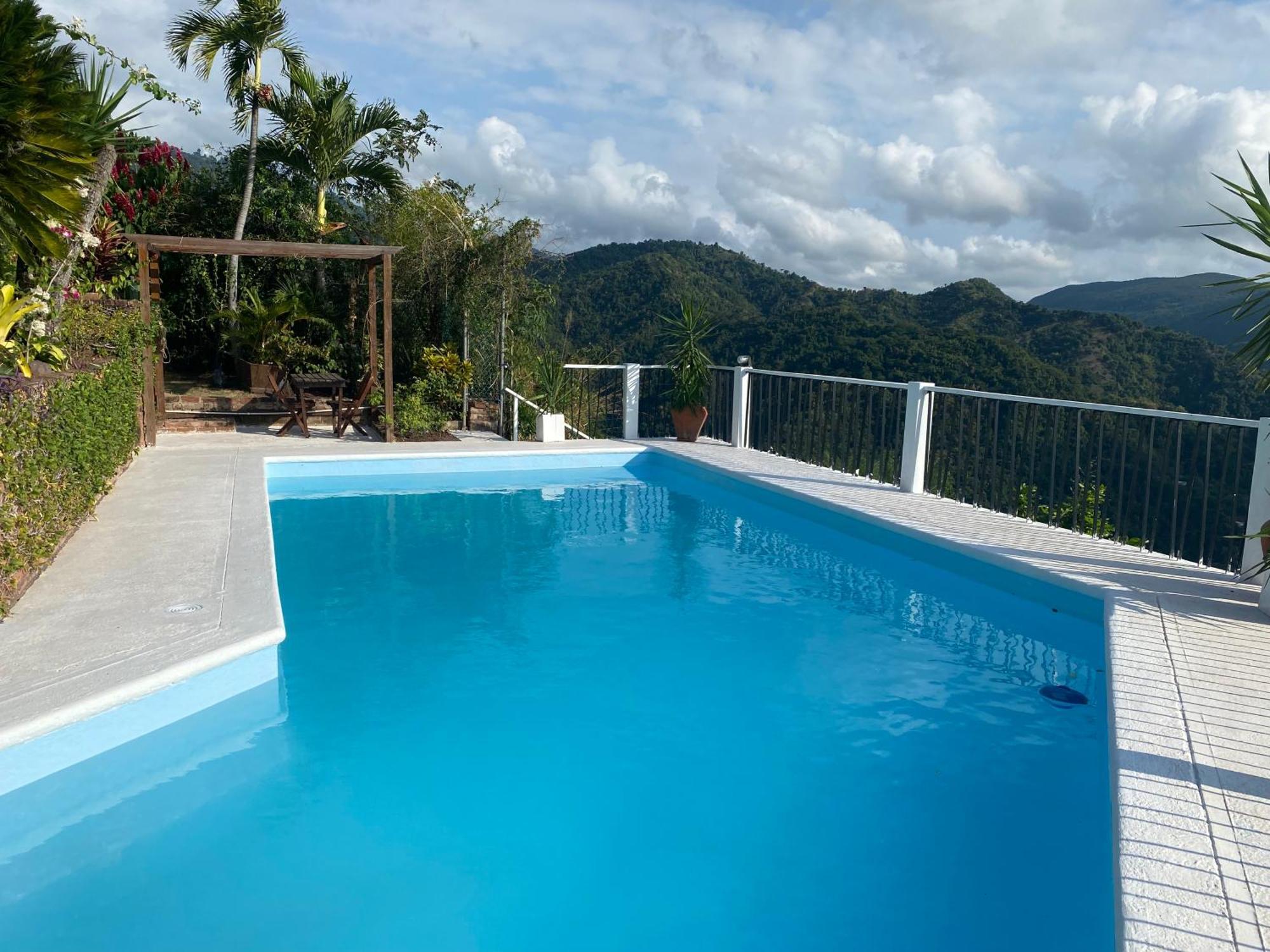 Tranquility Estate Acomodação com café da manhã  Kingston