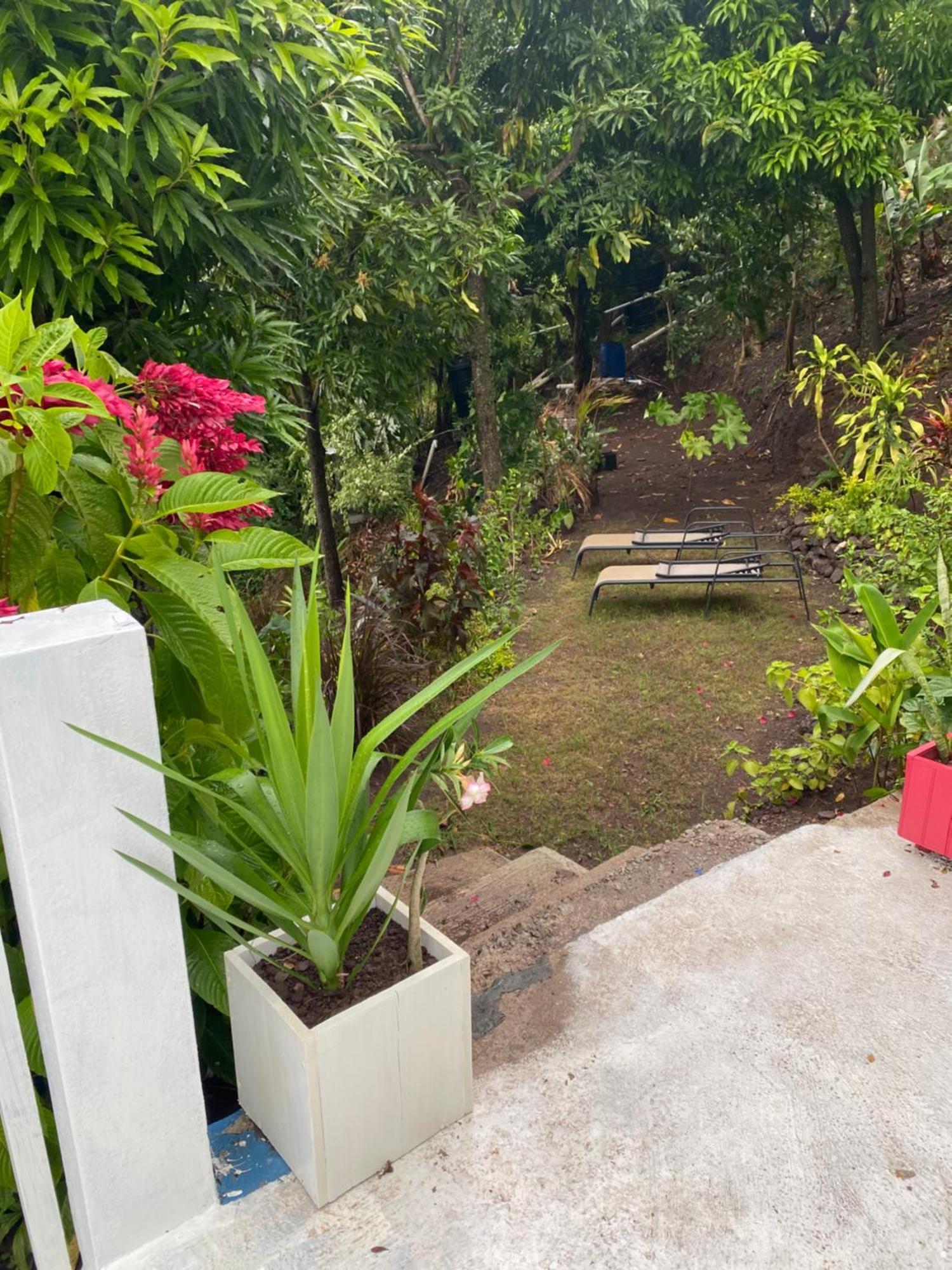 Acomodação com café da manhã  Tranquility Estate 2*