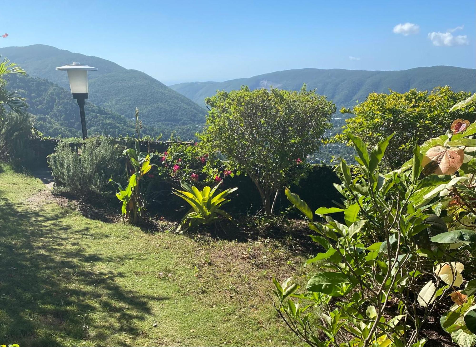 Tranquility Estate Acomodação com café da manhã  Kingston