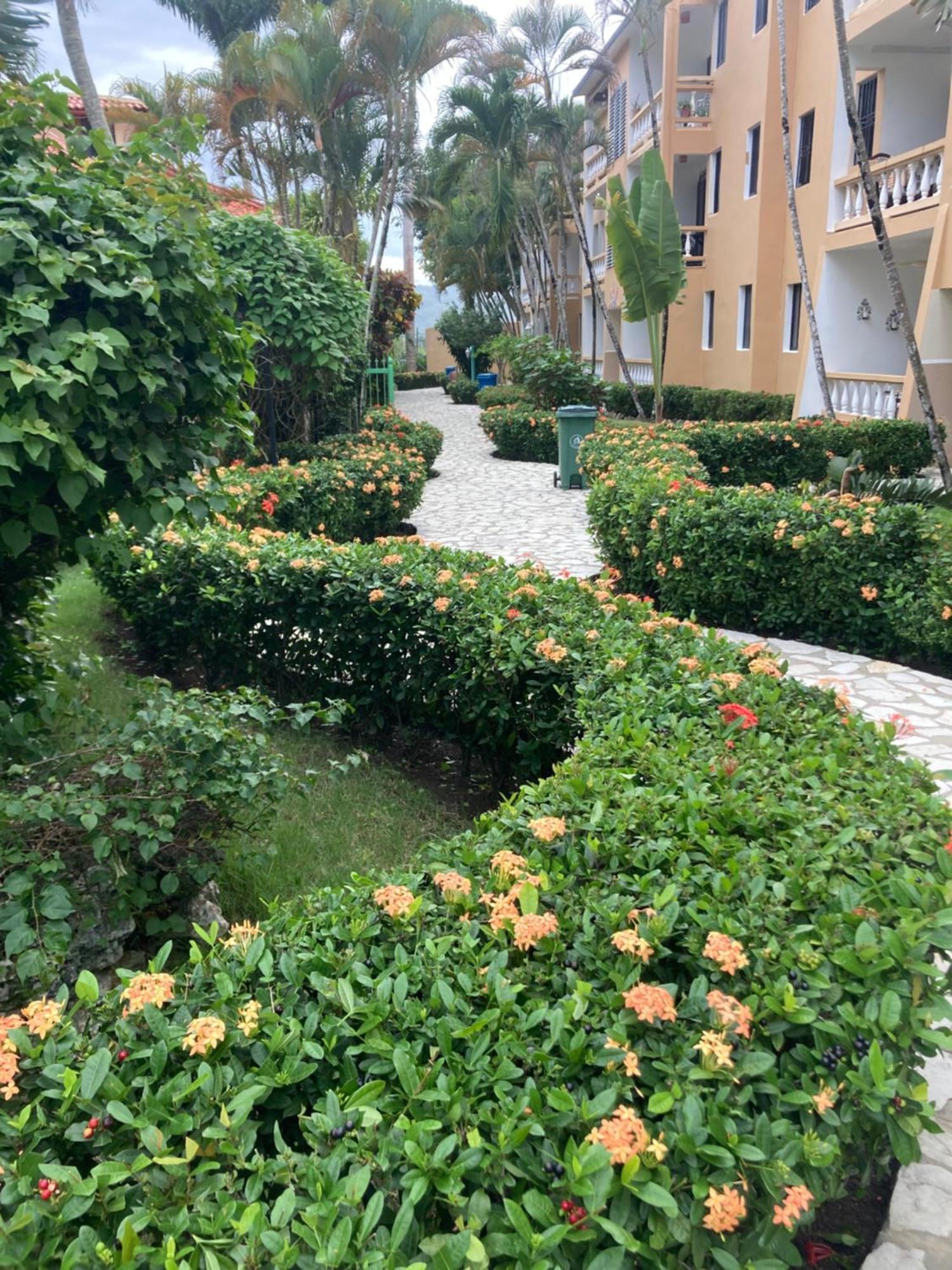 Cita Del Sol * Cabarete