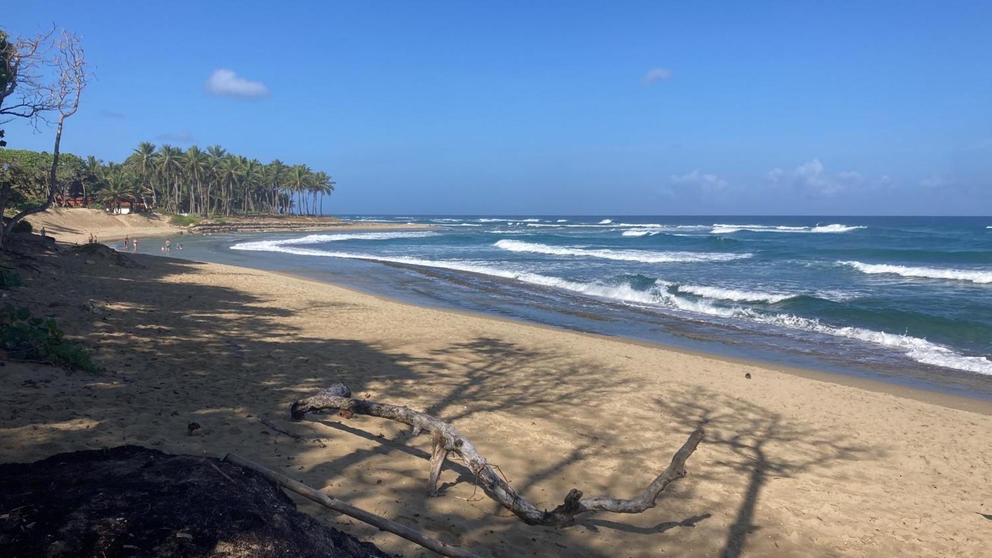 Cita Del Sol * Cabarete