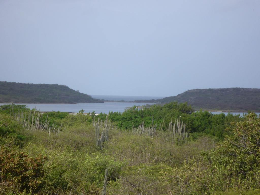 Villa Casa Del Sol Willemstad