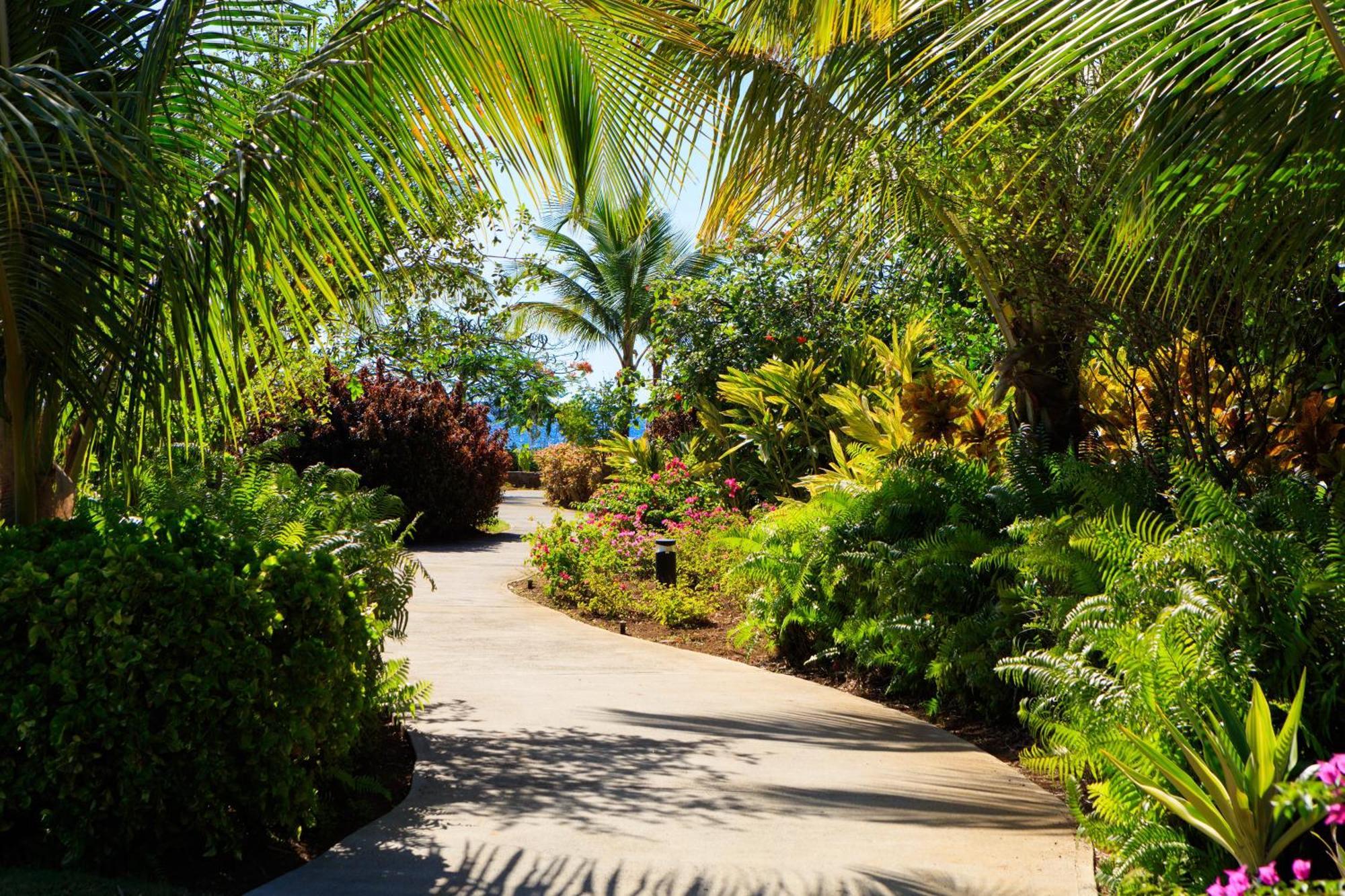 Hotel Intercontinental Dominica Cabrits & By Ihg 5*