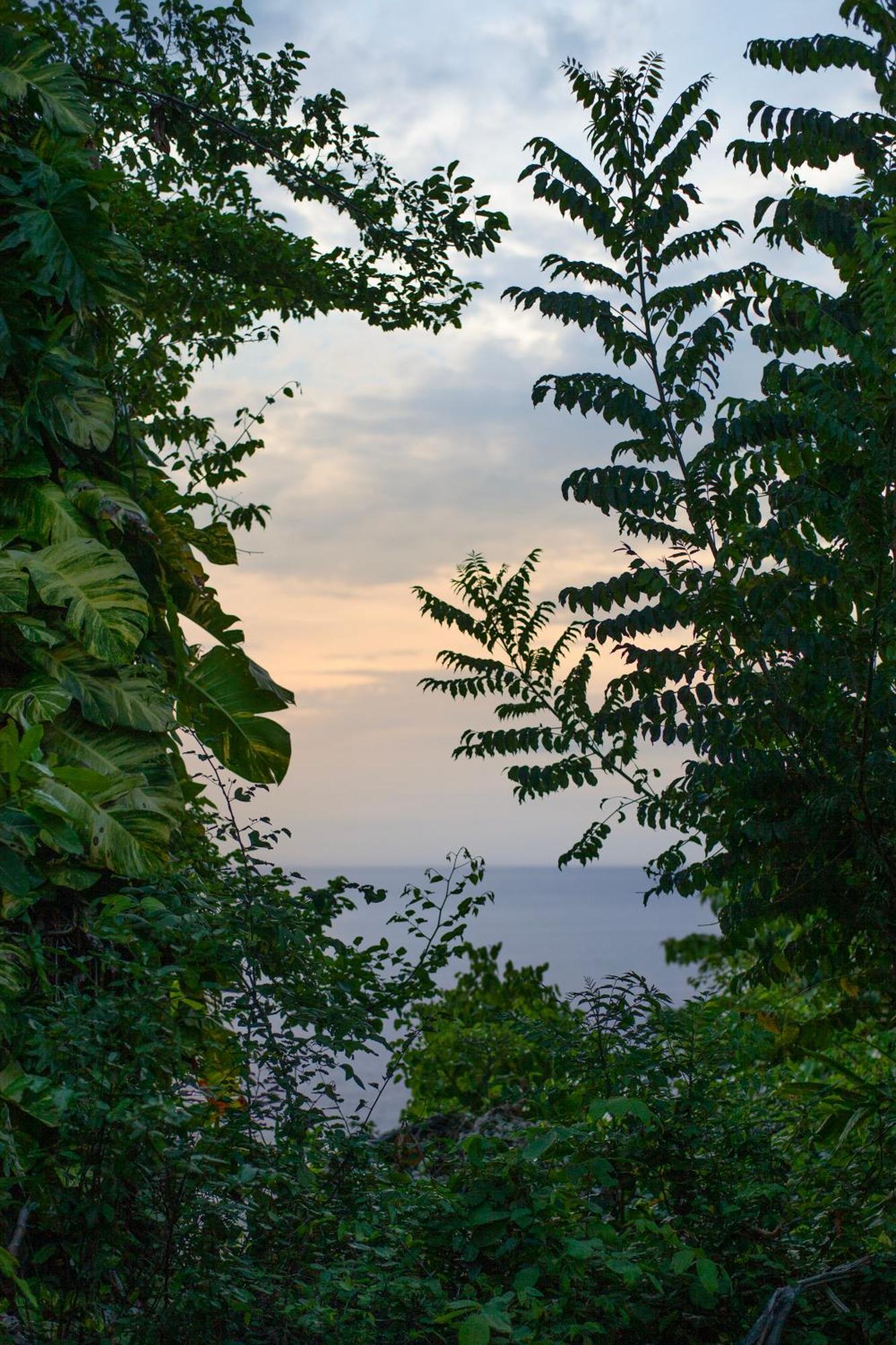 Frenchman's Cove Hotel Port Antonio