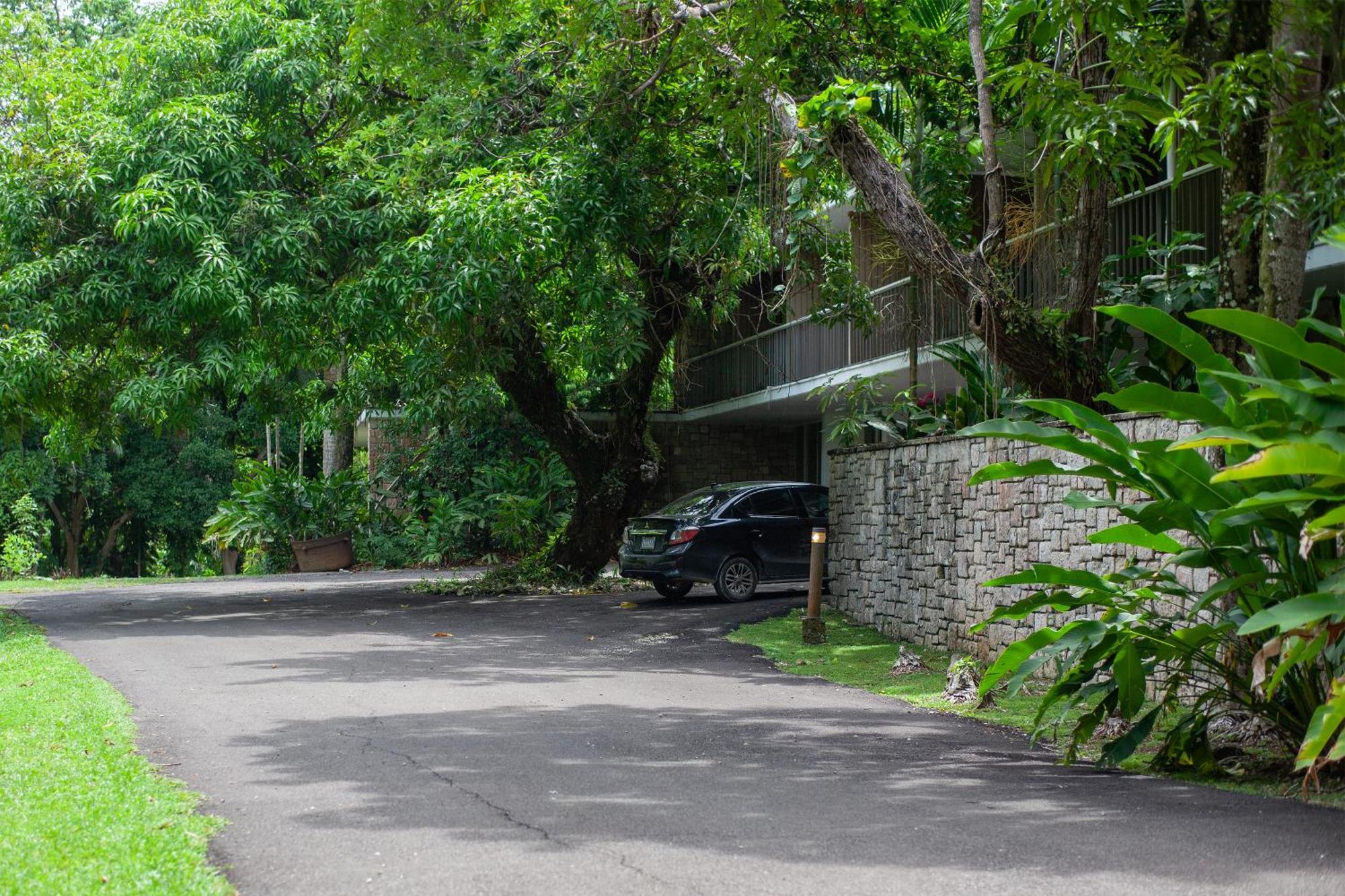 Frenchman's Cove Port Antonio