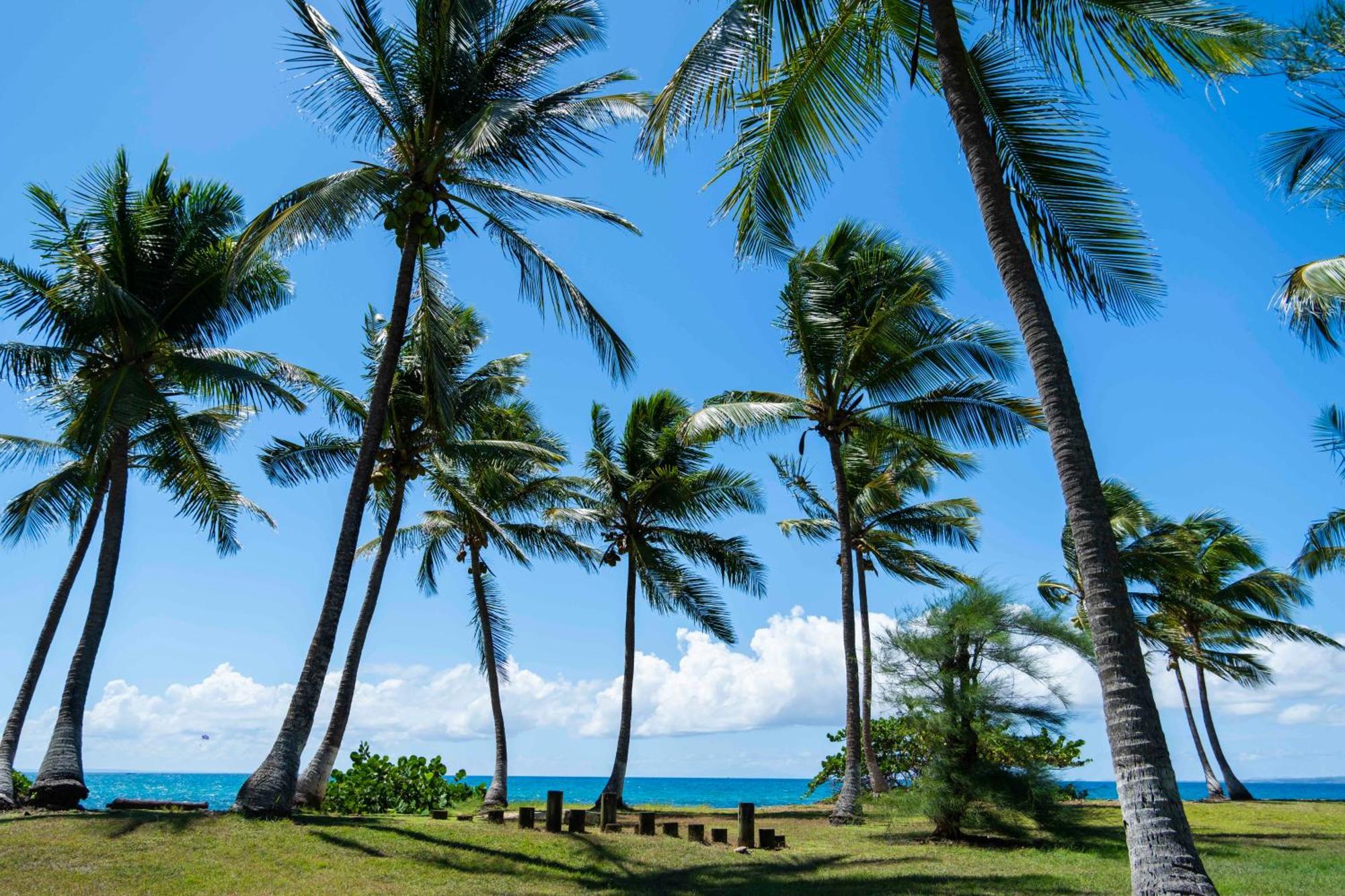 Hotel Fleur D'epee Le Gosier (Grande-Terre)