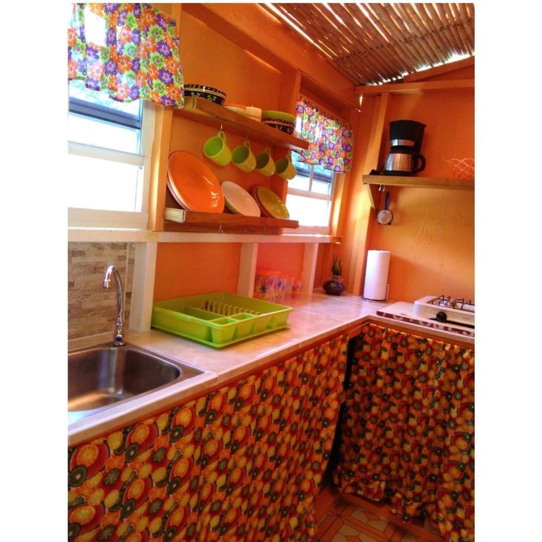 Salz Cozy Roseau