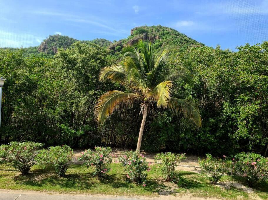 True North - Waterfront On Jolly Harbour Bolands