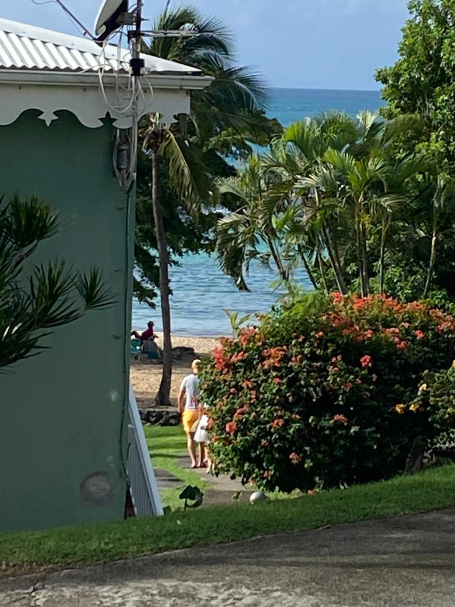 Brin D'ile Anse Des Rochers Vue A 50 M De La Et Piscine *