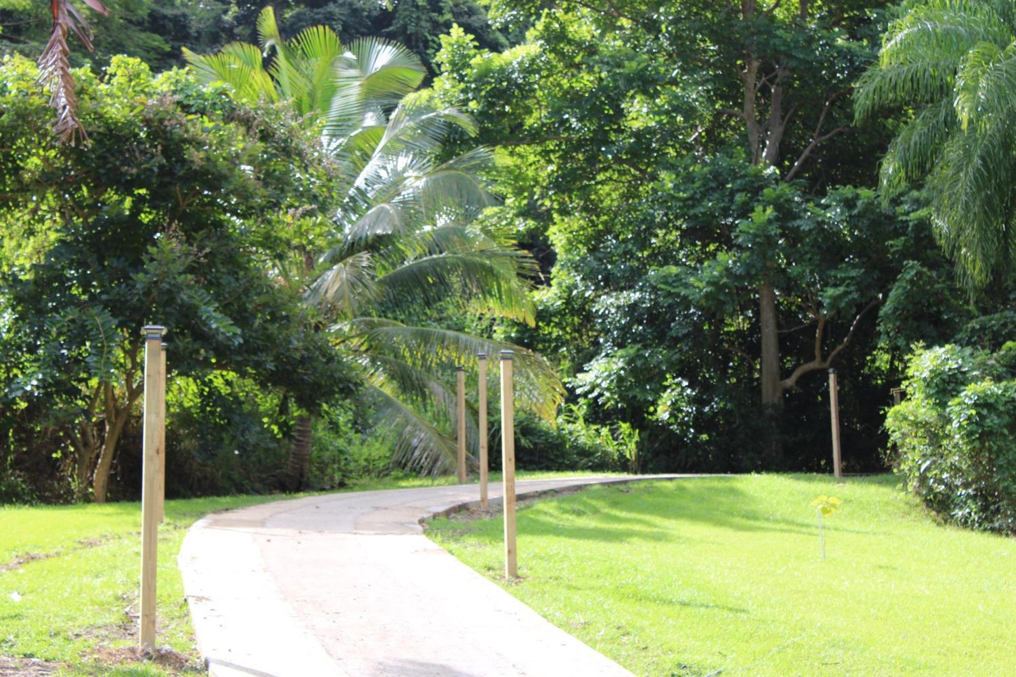 The Serene House Luquillo