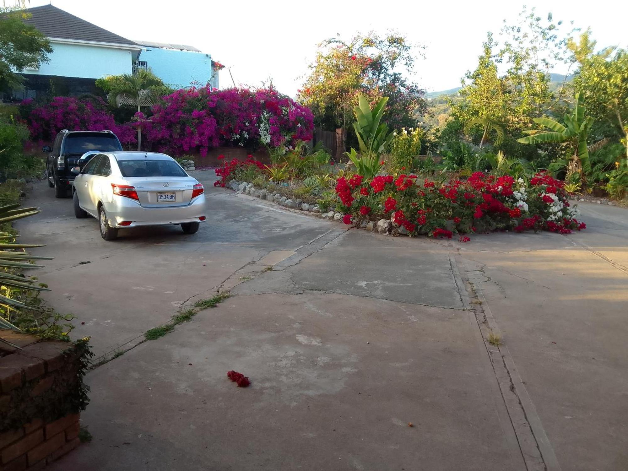 Tranquility Estate Acomodação com café da manhã  2*