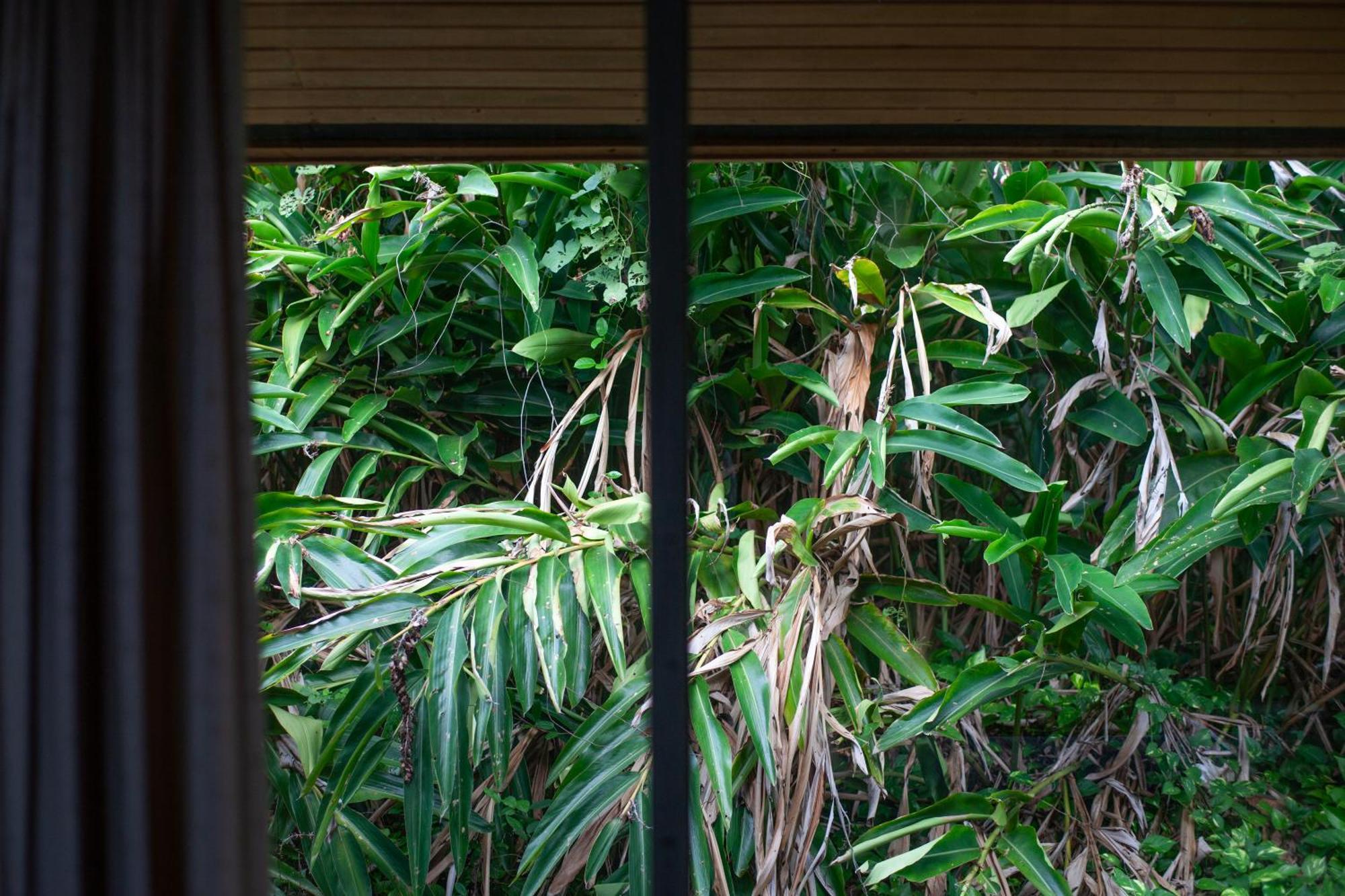 Hotel Frenchman's Cove Port Antonio