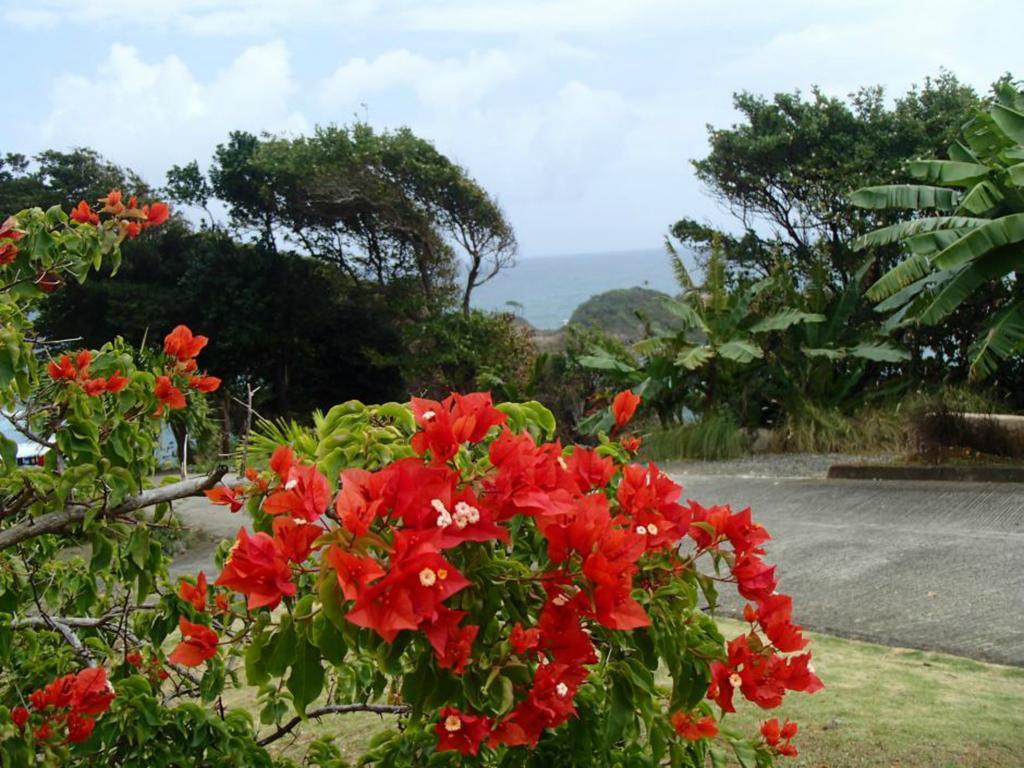 Pointe Dubique *