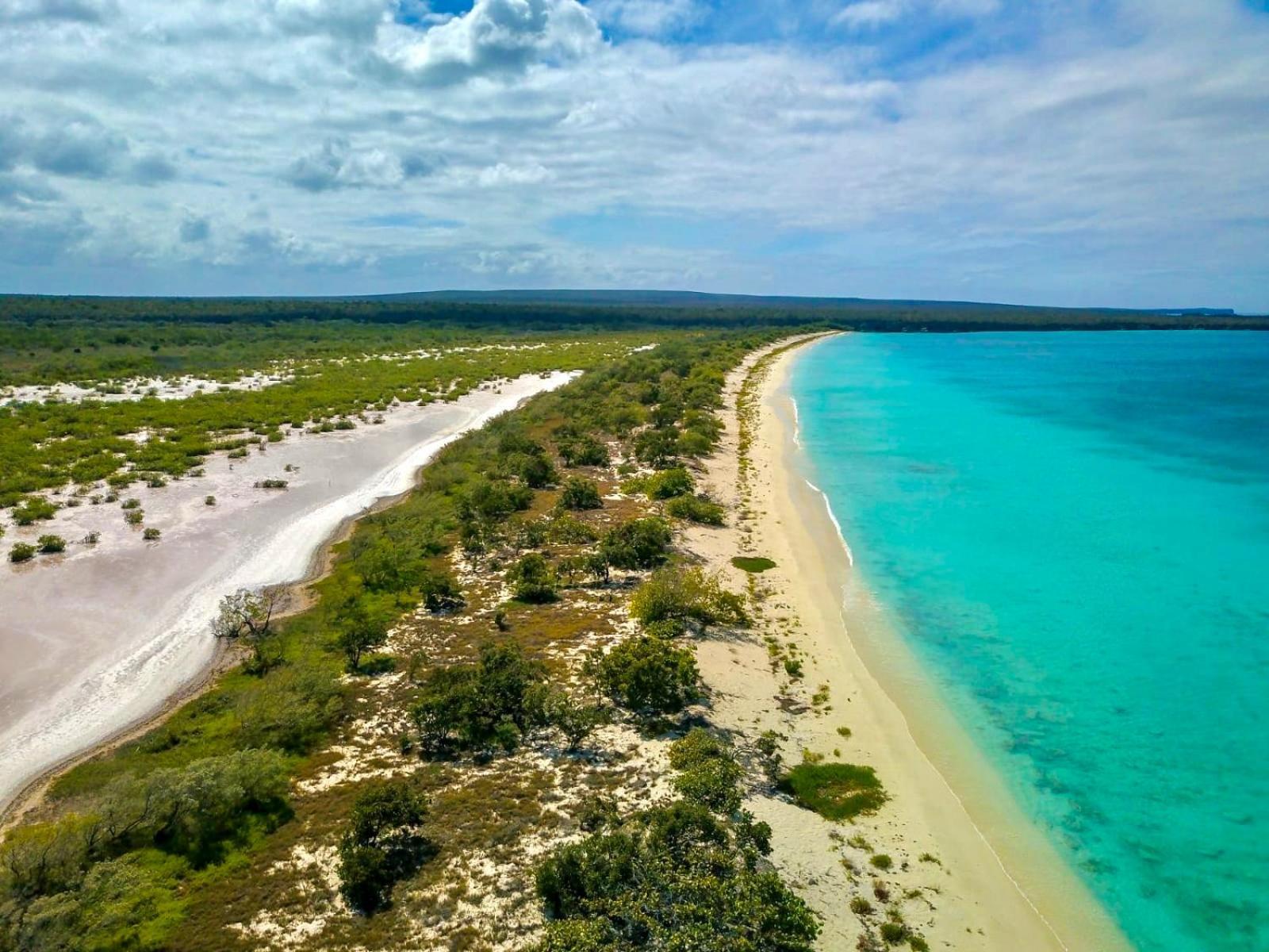 Eco Del Mar
