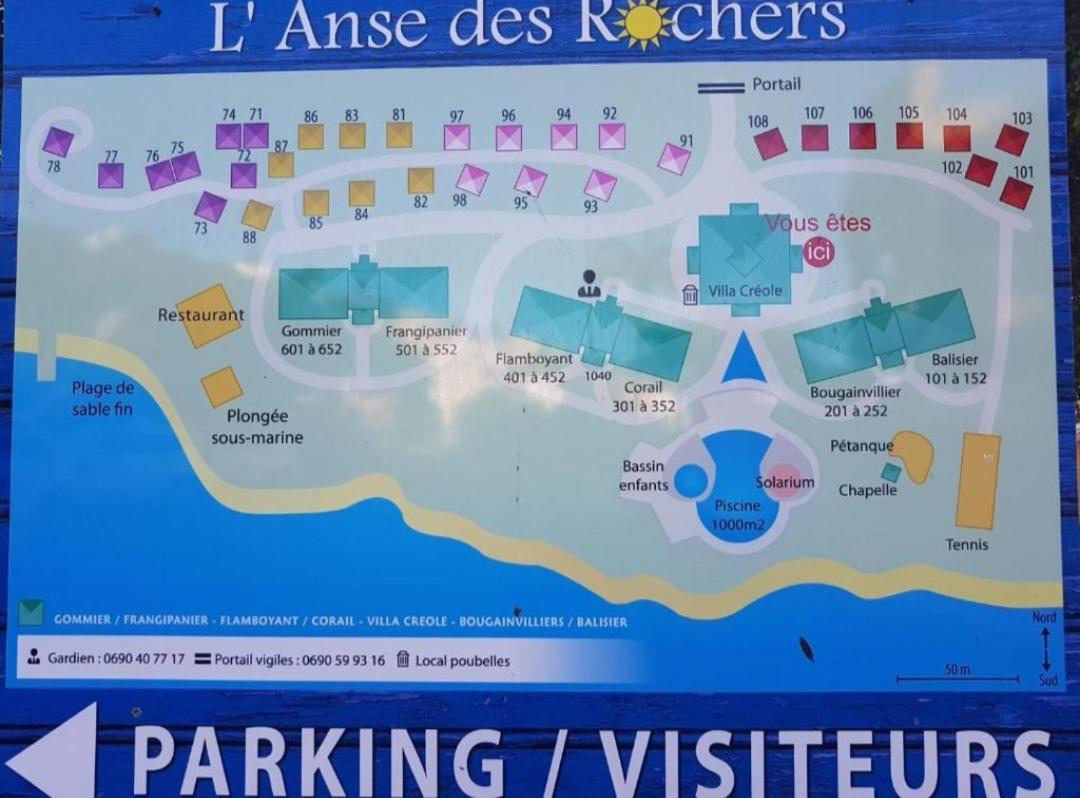 L'oiseau Du Paradis Vue A Francois A 100 M De La