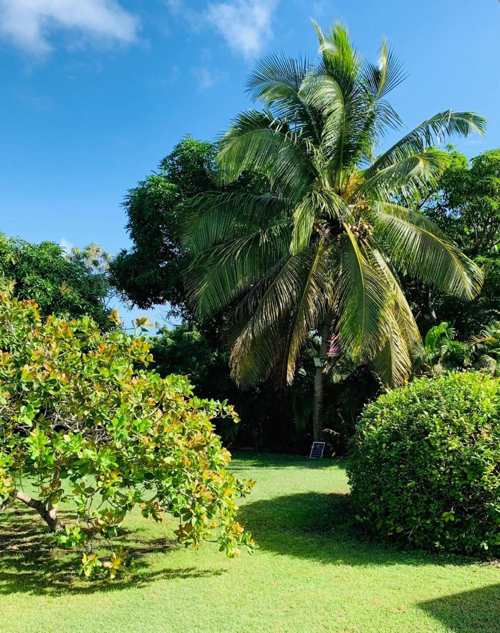 Domaine Saint-francois Hotel Saint-Francois (Grande-Terre)