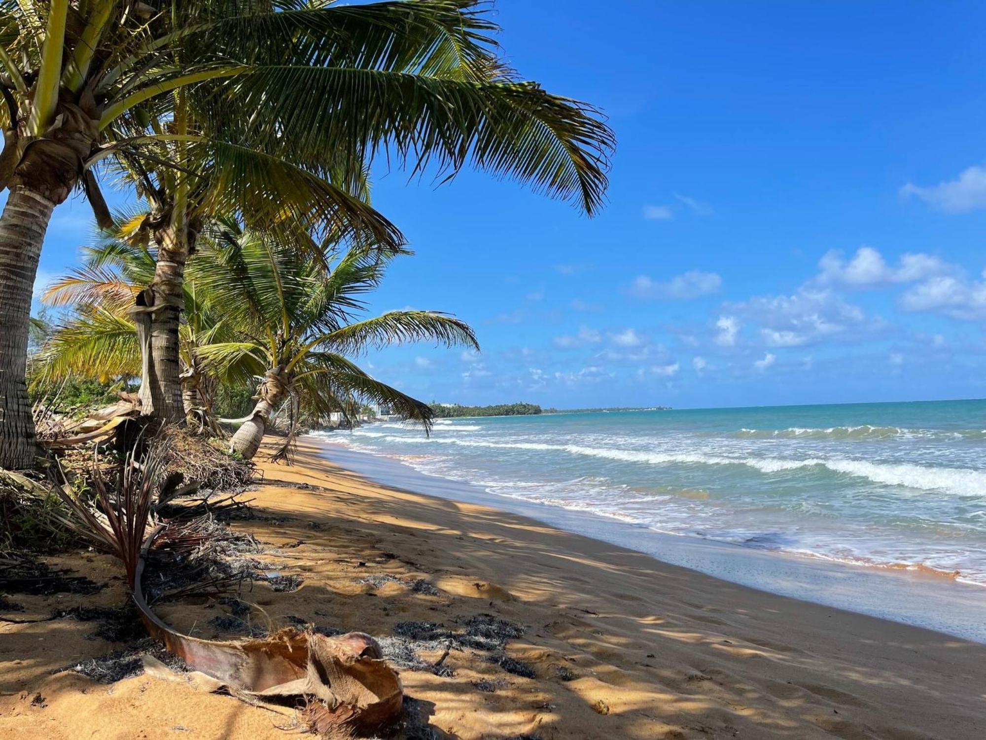 True Beachfront Oasis With Amazing Views Life Luquillo
