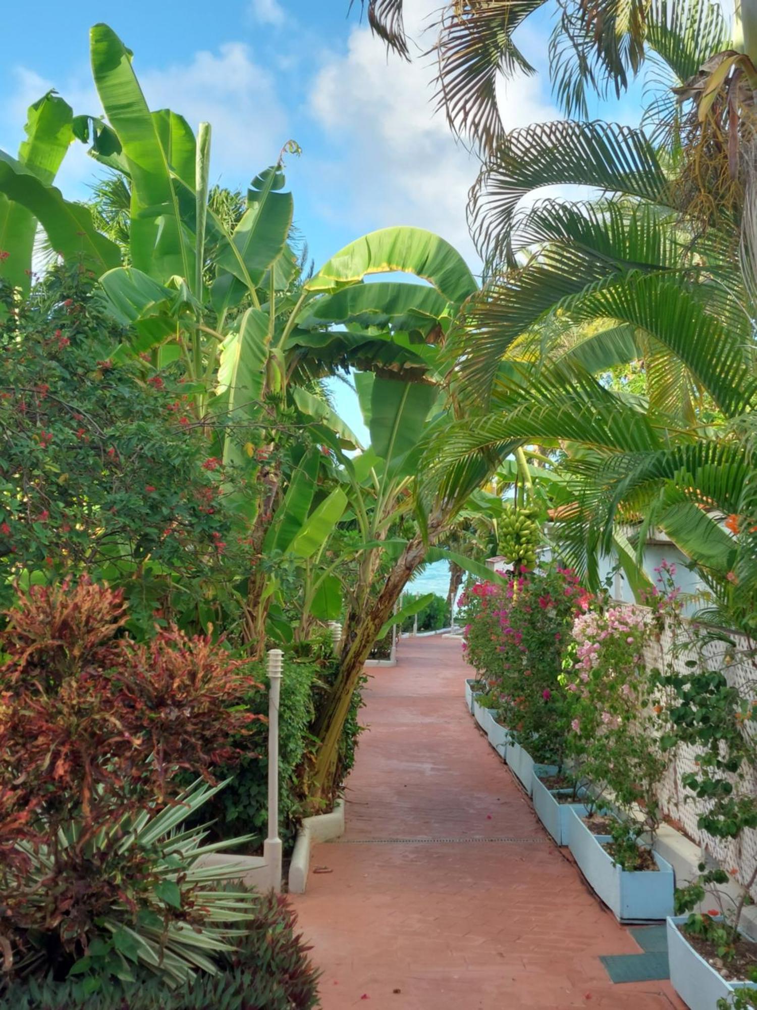 Northshore Seaside