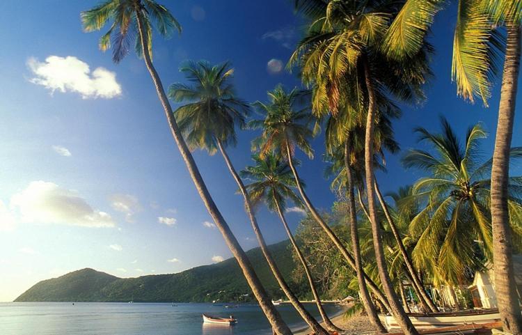 Aparthotel Ti Paradis De L'anse Figuier Site En Martinique Riviere-Pilote