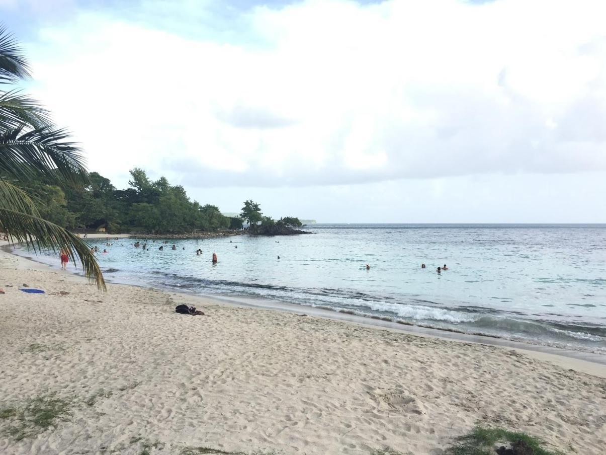 Ti Paradis De L'anse Figuier Site En Martinique