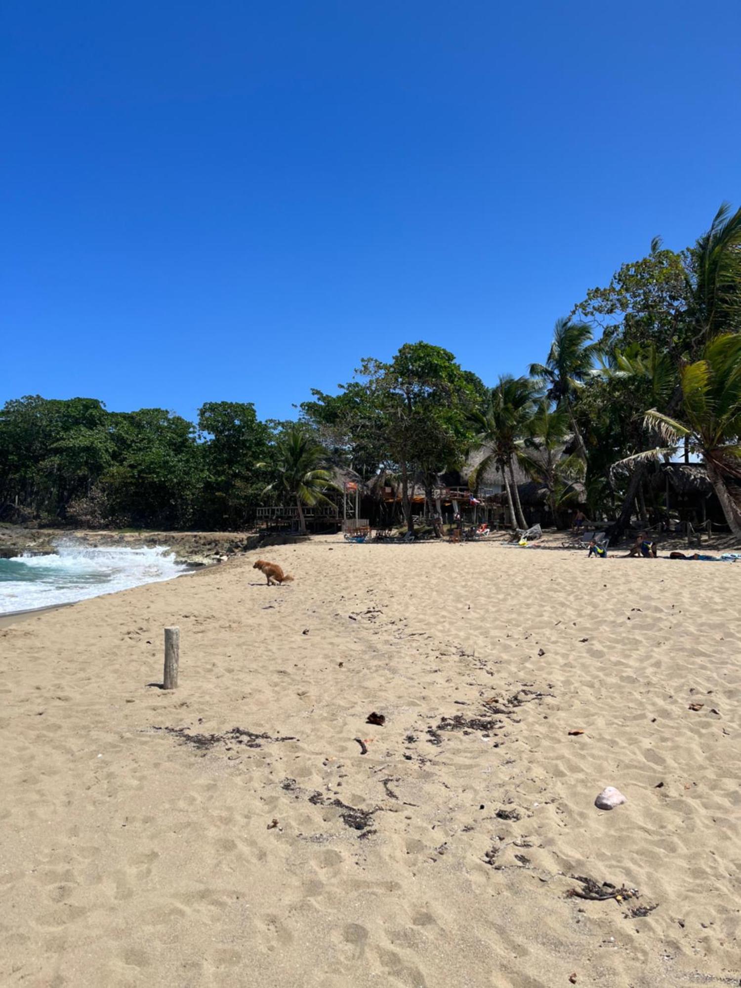 Hotel Maravilla Eco Boutique Surf Encuentro, Kite, By Aa Crypto Group