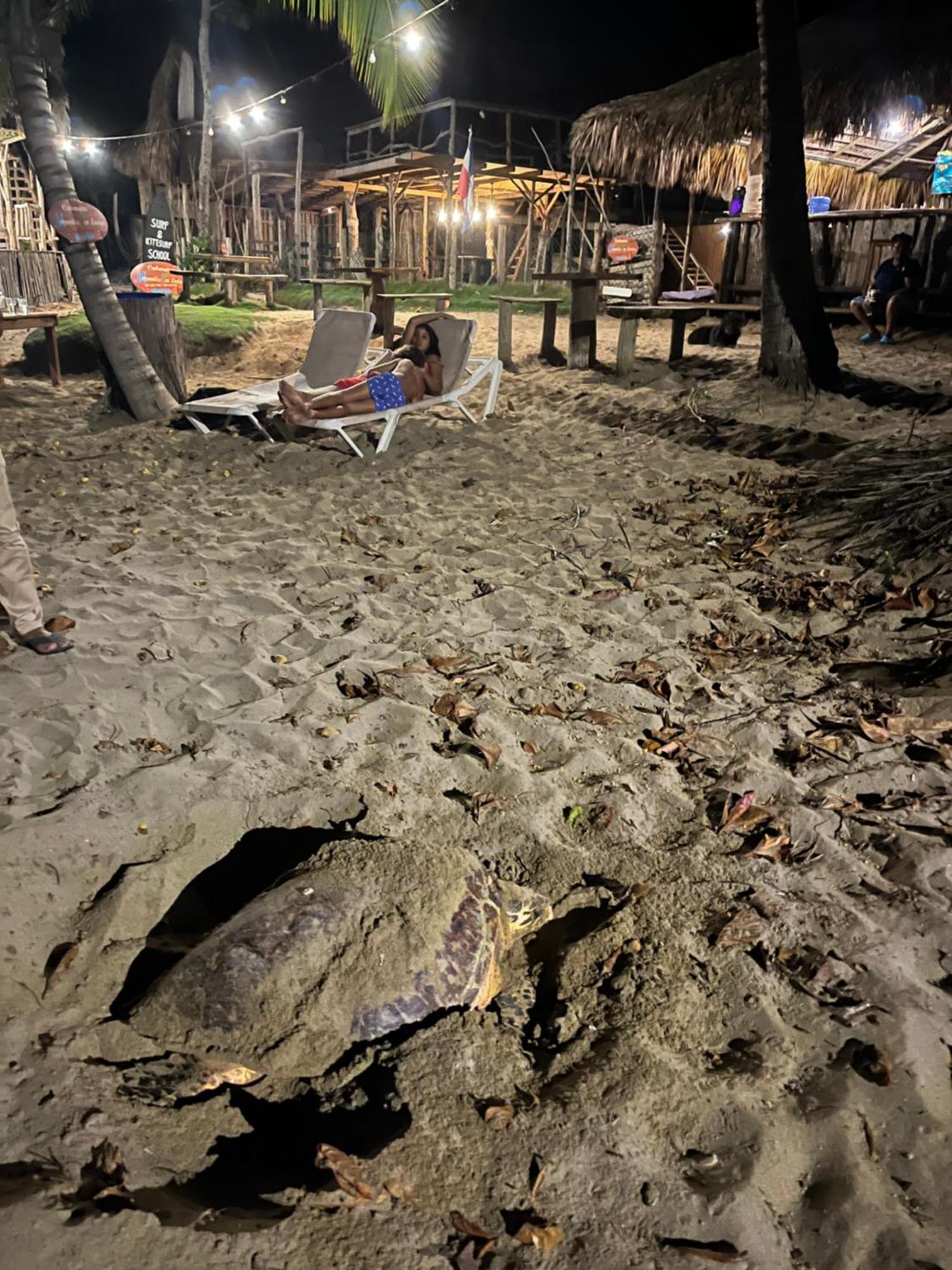 Maravilla Eco Boutique Surf Encuentro, Kite, By Aa Crypto Group Cabarete