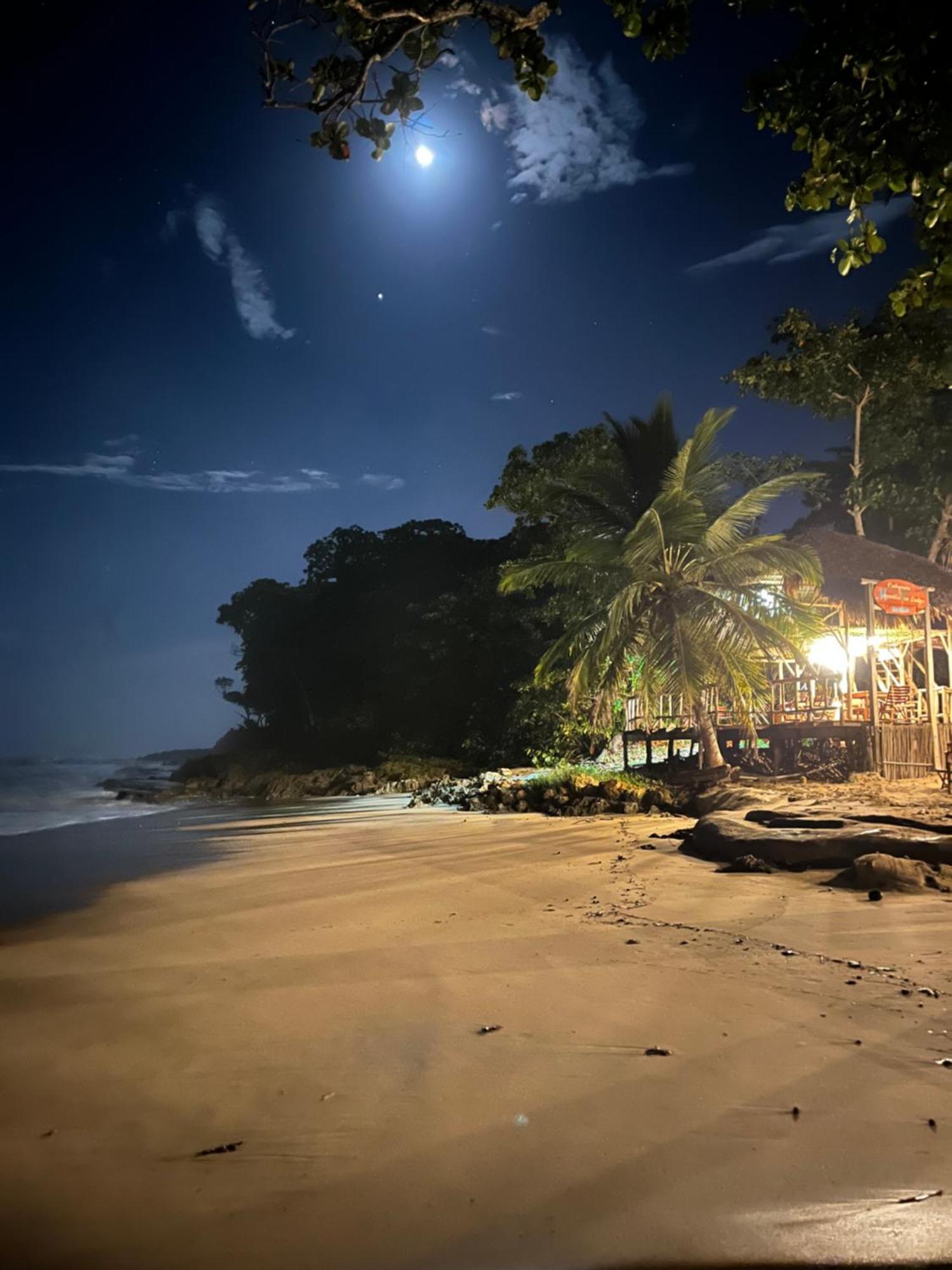 Maravilla Eco Boutique Surf Encuentro, Kite, By Aa Crypto Group Hotel Cabarete