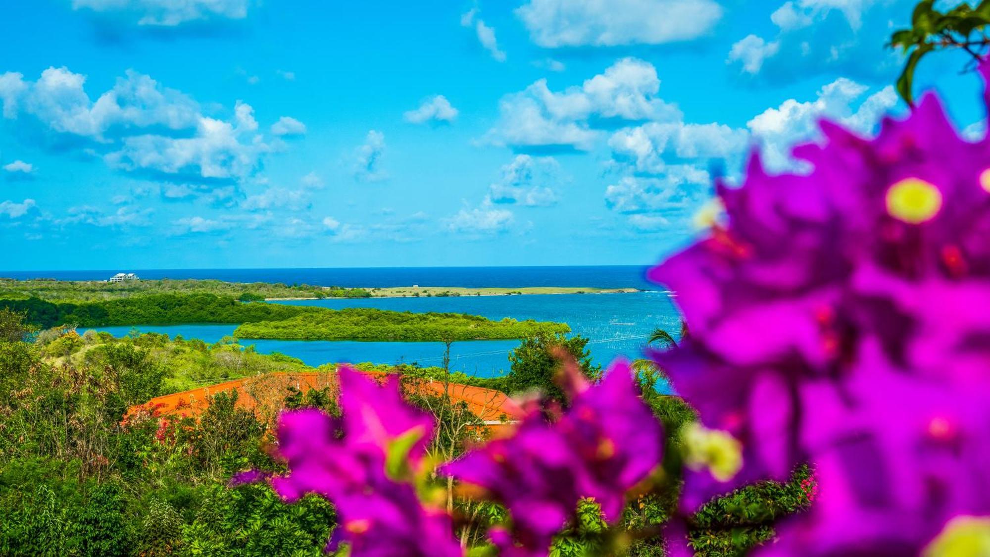 Castles In Paradise 3* Vieux Fort