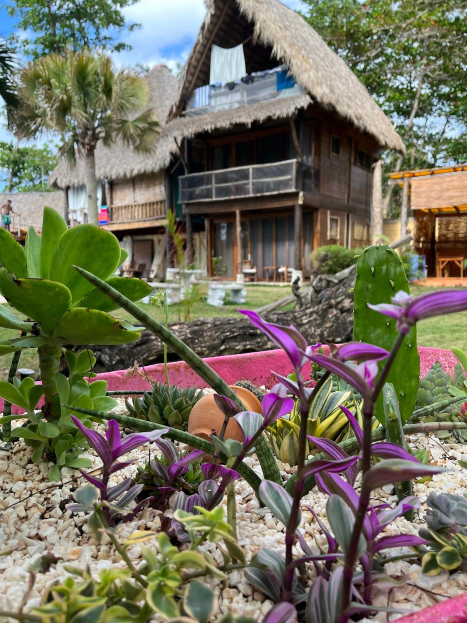Maravilla Eco Boutique Surf Encuentro, Kite, By Aa Crypto Group Hotel Cabarete