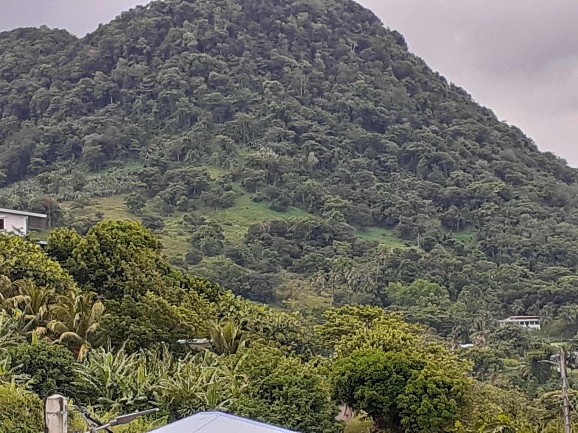 Awmony'kaz, A Guadeloupe Holiday home Trois-Rivieres