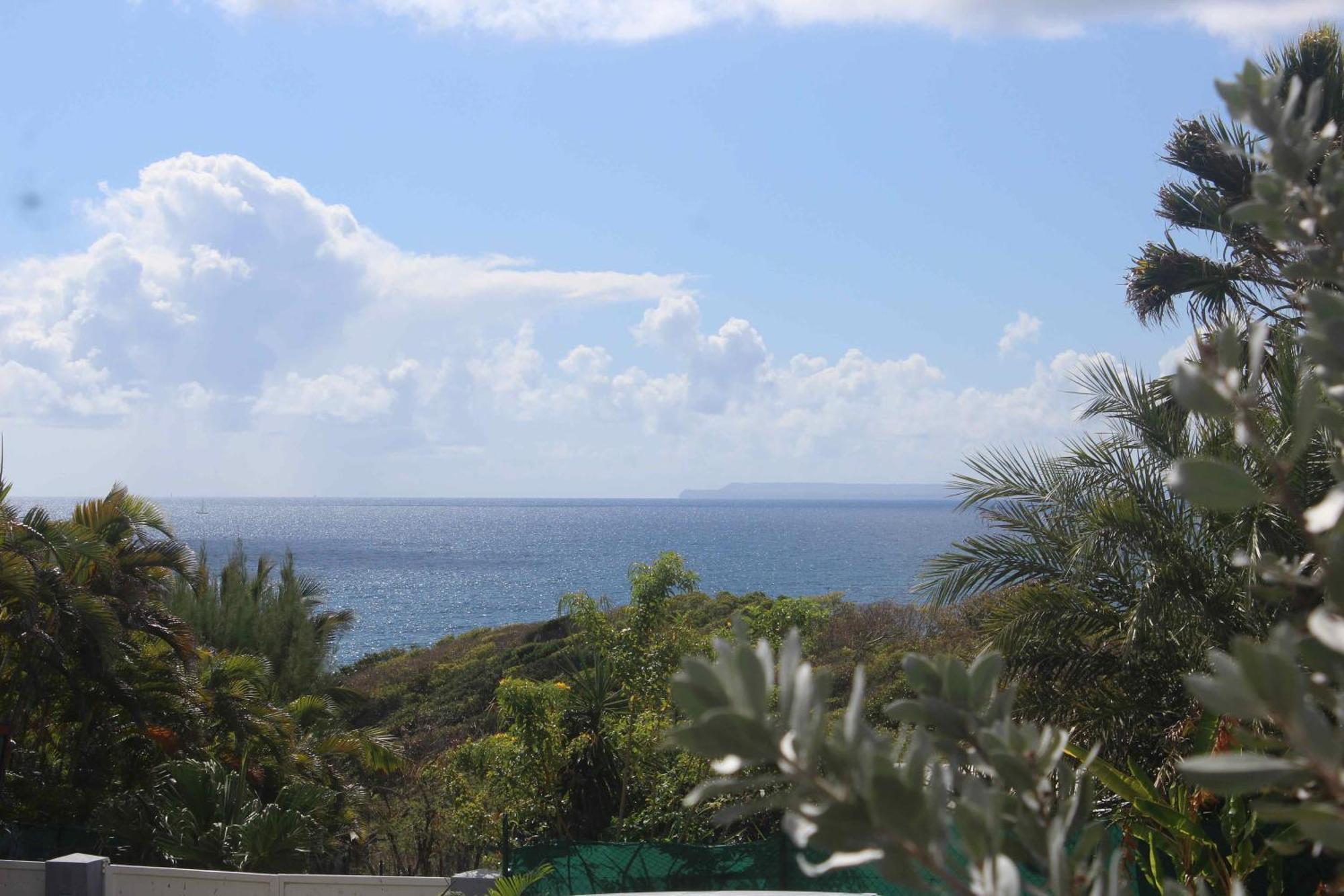 Iguane House & Micro * Sainte-Anne (Grande-Terre)