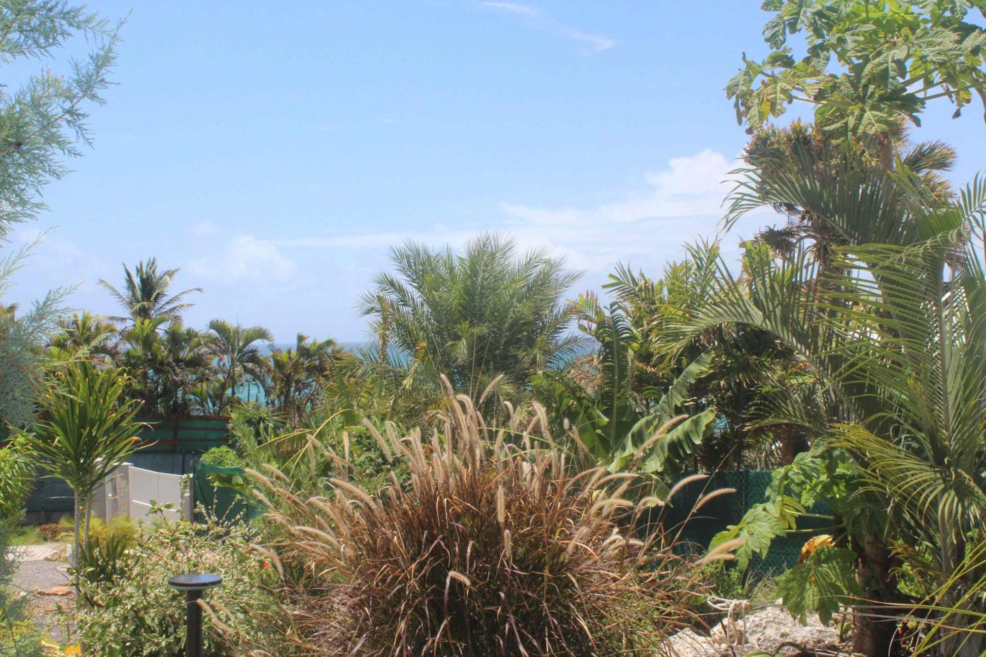 Villa Iguane House & Micro