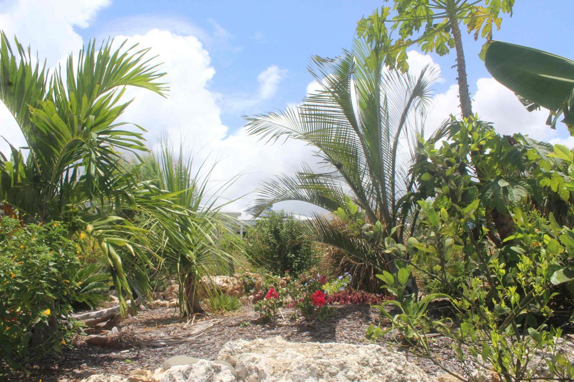 Iguane House & Micro Villa