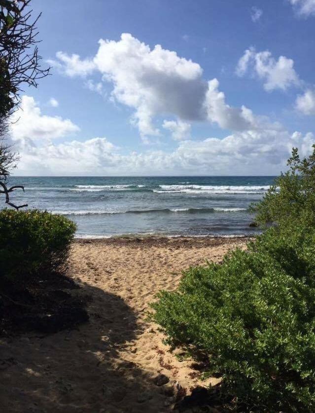Villa Iguane House & Micro Sainte-Anne (Grande-Terre)